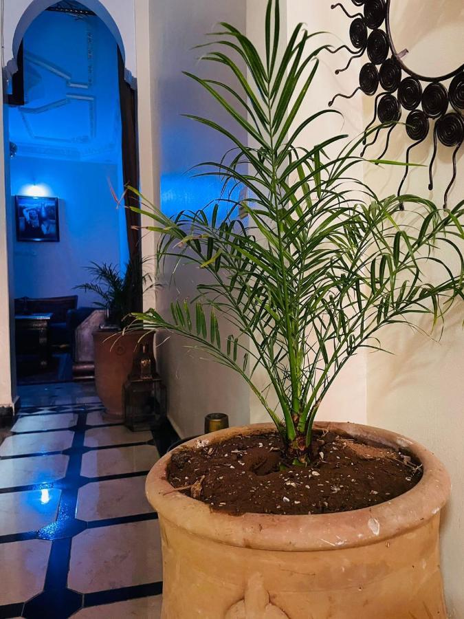 Riad Ms Holidays Terrasse Privatise Marrakech Marrakesh Exterior photo